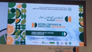 تأكيد على تعزيز الرقمنة وخلق أقطاب لإنتاج البذور