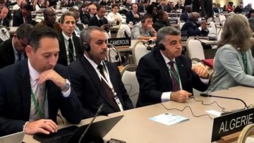 الجزائر تهنئ المدير العام الجديد لليونسكو وتعزز التعاون التربوي الدولي