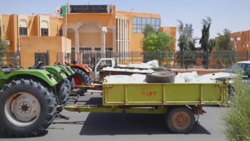 بشار.. عملية لاقتناء وتوزيع 10 آلاف شجرة مثمرة