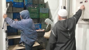 زيارة فجائية لمعاينة مخزون الثوم الجاف بعين طاية وبرج الكيفان
