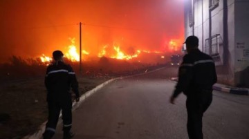 اندلاع حرائق غابات بتيبازة: عدم تسجيل أي إصابة إلى غاية الآن 