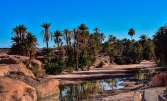 النعامة.. عملية واسعة لتهيئة واحة تيوت