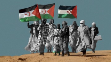 الصحراء الغربية …زخم عام حافل بالنضال والانجازات