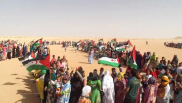 رافتو النرويجية تدعو إلى تحرك دولي عاجل يضمن حقوق الشعب الصحراوي