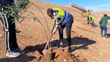 وزارة الشباب تُطلق عملية تشجير كبرى على مستوى خط السكة الحديدية غار جبيلات