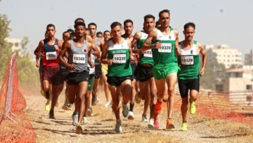 الجزائر في موعد العراق