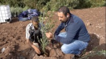 الطارف: أزيد من 23 مليون دج لدعم غرس الأشجار المثمرة المقاومة