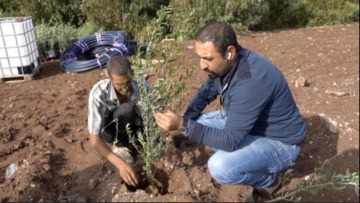 الطارف: أزيد من 23 مليون دج لدعم غرس الأشجار المثمرة المقاومة