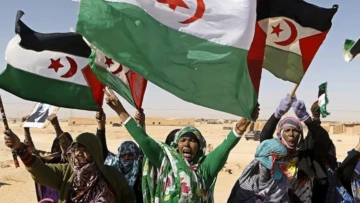 بلدية لافرونتيرا تعتمد مقترحا يرفض انتهاكات حقوق الإنسان في الصحراء الغربية المحتلة