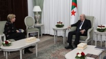 الرئيس تبون يستقبل سعادة سفيرة الولايات المتحدة الأمريكية بالجزائر