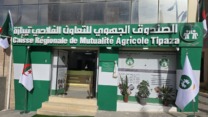 تيبازة.. قطاع الفلاحة يتدعم بصندوق جهوي جديد للتعاون الفلاحي