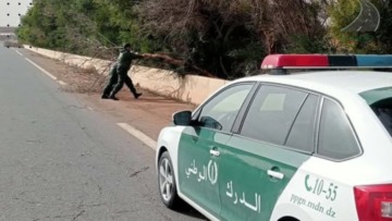 الدرك الوطني يطلق إرشادات للسلامة المرورية تحسبا للرياح القوية المرتقبة