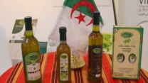 باتنة.. إطلاق مسابقة أفضل زيت زيتون بكر ممتاز