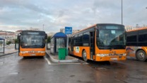 تخصيص 300 حافلة يوميا لنقل المواطنين