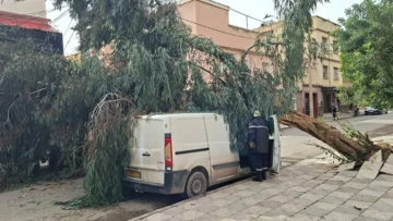 الرياح القوية تسبب خسائر في 9 ولايات