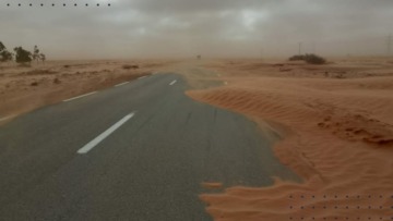 رياح قوية وأمطار رعدية على عدة ولايات من الوطن