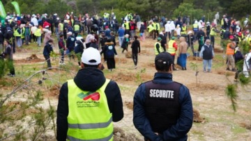 مجمع اتصالات الجزائر يشارك في الحملة الوطنية الثانية للتشجير
