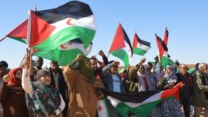 صورة معبرة عن أفابراديسا : مطالب متواصلة بضرورة احترام الشرعية الدولية في الصحراء الغربية