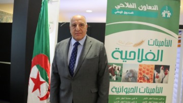 جهاز التأمين ضد الأخطار الفلاحية الكبرى سيغطي شعبة الحبوب في مرحلة أولى