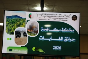 بومرداس.. المصادقة على مخطط الوقاية ومكافحة حرائق الغابات لسنة 2026