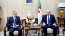 الجزائر و إندونيسيا تبحثان آفاق توسيع الشراكة وتطوير العلاقات المشتركة