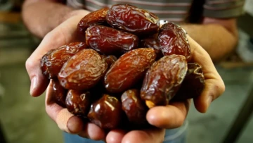 التمر.. فوائد تجعلك لا تستغني عن تناوله