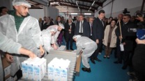 صورة معبرة عن التدشين الرسمي للمصنع الجديد لإنتاج الحليب بالرويبة