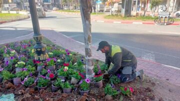 تهيئة المساحات الخضراء وتزيين المساجد بالبليدة 