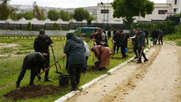 قسنطينة: غرس 400 شجيرة تزيينية بالمركب الرياضي الترفيهي بحي بوالصوف