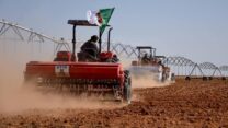 موسم الحرث والبذر 2026.. تحضيرات مبكرة لرفع الإنتاج