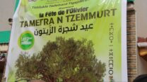 تيزي وزو..  مشاركة نحو 40 عارضا في عيد شجرة الزيتون 