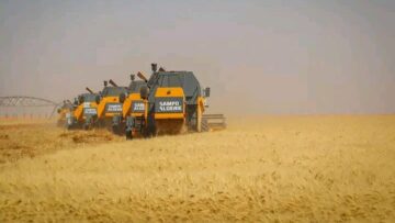 انطلاق حملة الحصاد بأدرار