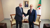 شايب يستقبل عميد جامع باريس الكبير
