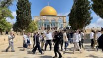 عشرات المستوطنين ينظمون جولات استفزازية في باحات الأقصى