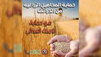 البويرة.. جهاز أمني لحماية محاصيل الحبوب من مخاطر الحرائق