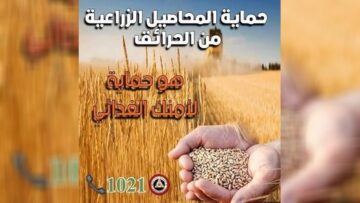 البويرة.. جهاز أمني لحماية محاصيل الحبوب من مخاطر الحرائق