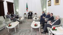 صورة معبرة عن رئيس الجمهورية يستقبل وزير الداخلية والشؤون الفيدرالية الصومالي