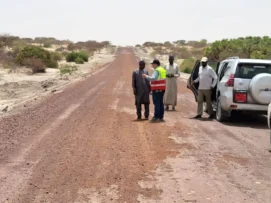 الجزائر وتشاد تبحثان بنجامينا التجسيد الميداني لمقطعين من الطريق العابر للصحراء