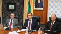 صورة معبرة عن أوبك+: الجزائر و6 دول تقرر زيادة جماعية في إنتاج النفط بـ188 ألف برميل/يوم في جوان