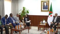 طاقة: الجزائر تدرس انجاز محطة كهربائية بقدرة 1000 ميغاواط بموزمبيق