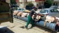 صورة معبرة عن حياة عاشور: حملة تثمين جلود الأضاحي حققت أهدافها المسطرة