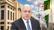 الجزائر ستظل وفية لالتزاماتها التاريخية تجاه القارة الإفريقية