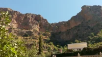 صورة معبرة عن الارز بالحليب