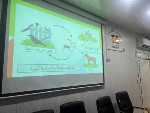 مكافحة نواقل الأمراض وإعادة تفعيل برنامج مكافحة حمى غرب النيل بالبليدة