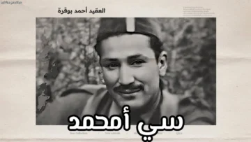 الشهيد أمحمد بوقرة.. قائد ميدان ورجل الثورة