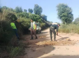 جهود لضمان جاهزية المسالك الغابية للتدخلات الميدانية ببومرداس